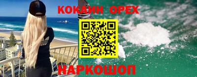 гашик Будённовск