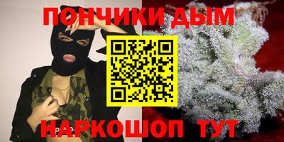 гашик Будённовск