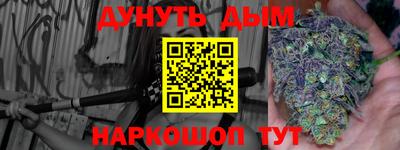 гашик Будённовск
