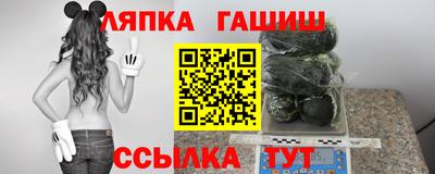 гашик Будённовск